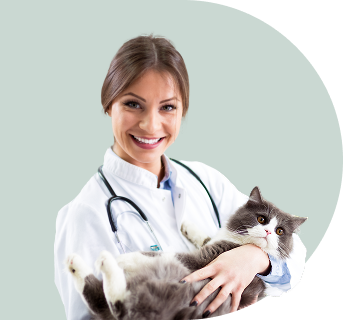 Veterinarian holding two small dogs