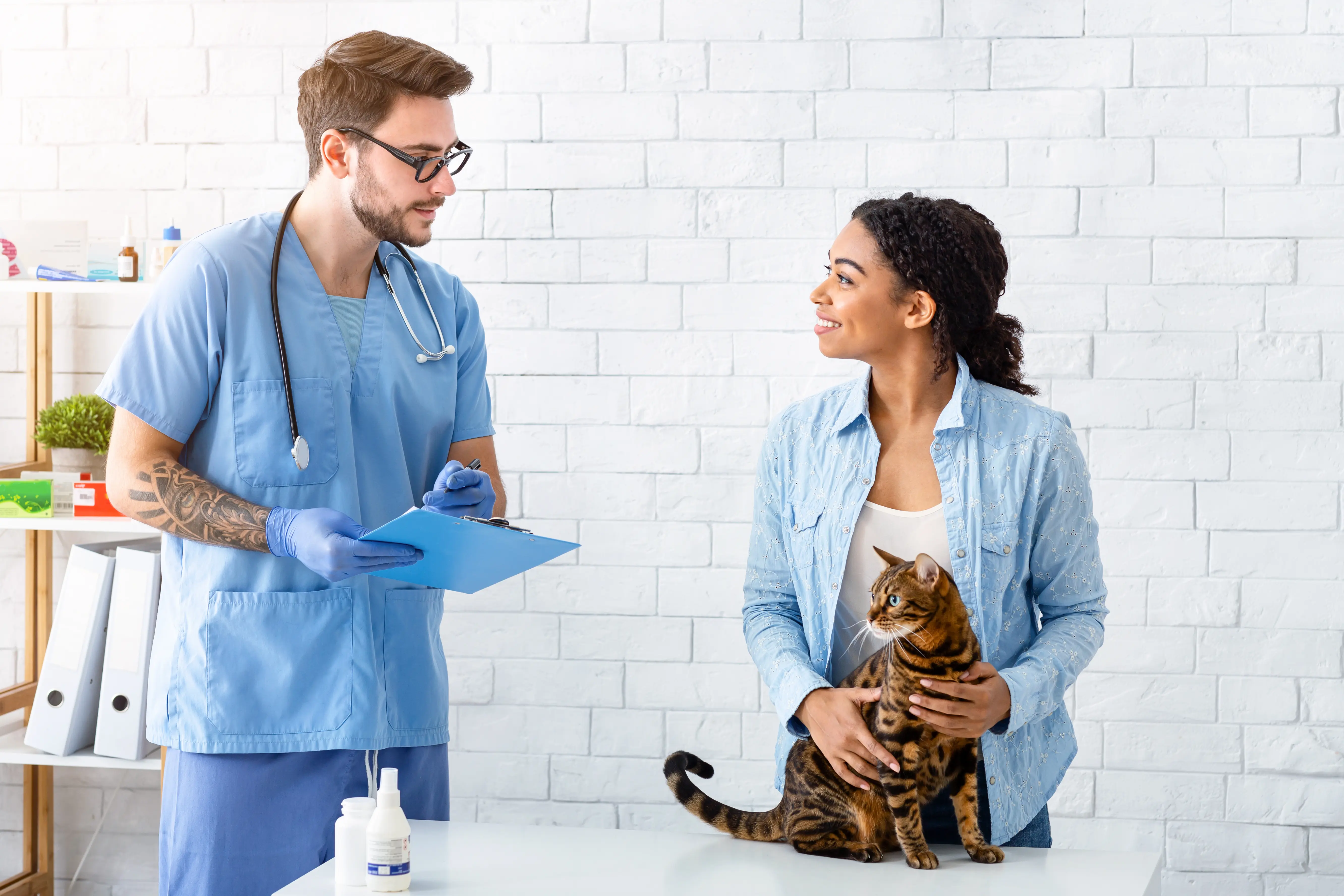 Veterinarians examining x-ray