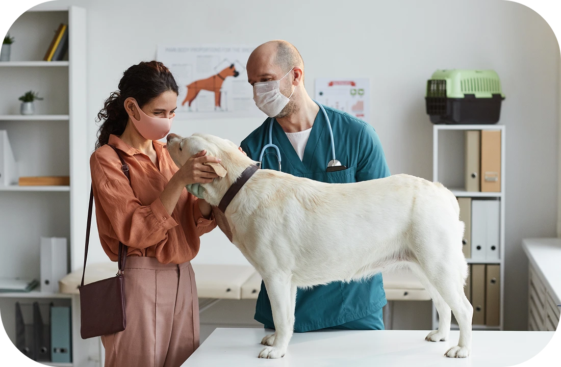 Veterinarian with pet owner and dog